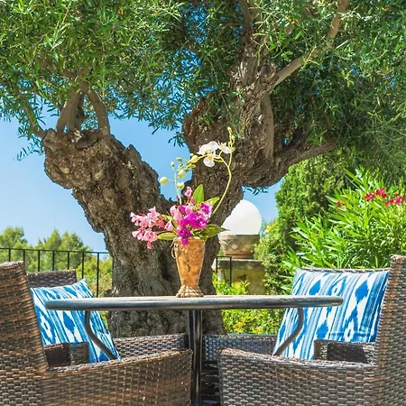 3010 - Schoenes Mediterranes In Villa *